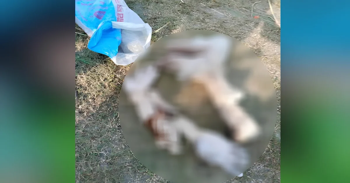 পদ্মায় খণ্ডিত হাত পা