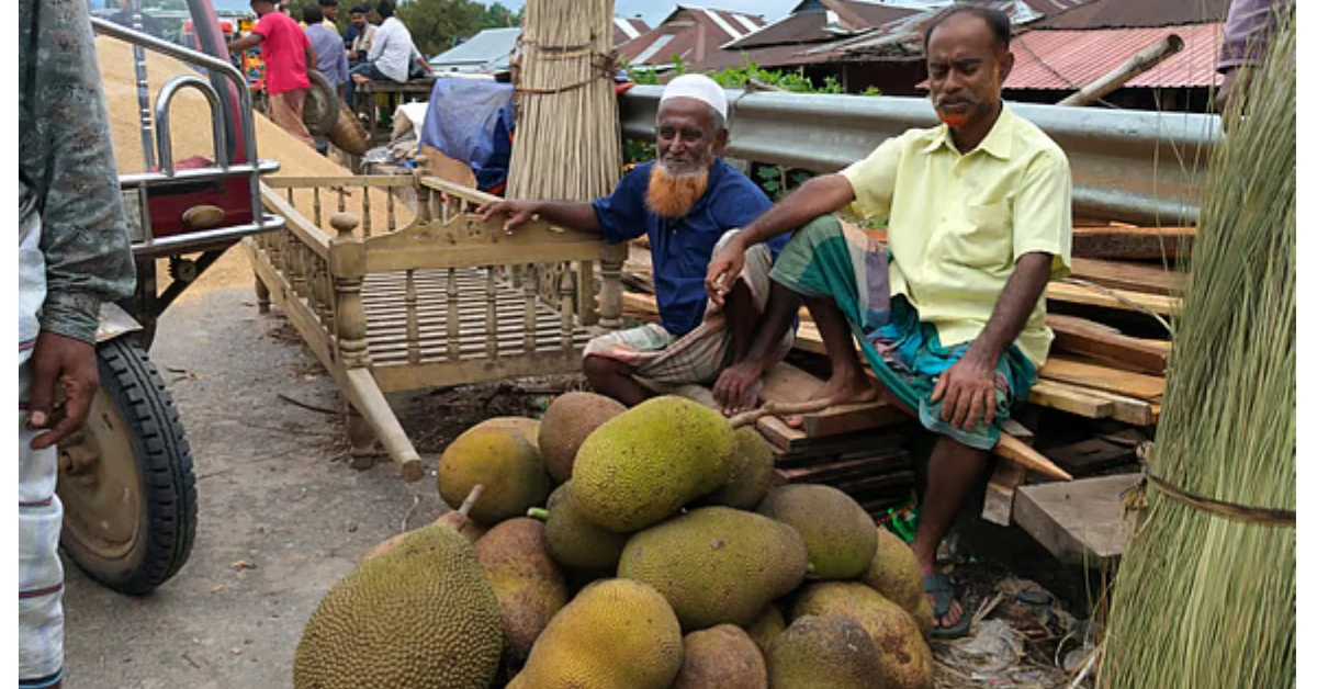 শ্রীপুর বাজারে কাঁঠালের দাম