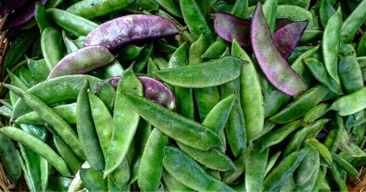 সবজির দাম আকাশ্চুম্বি, শিম ২০০ টাকা কেজি