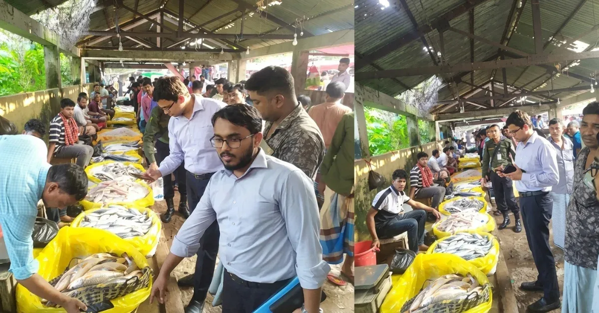 বিষাক্ত রঙ মেশানো মাছ বিক্রির দায়ে জরিমানা, নষ্ট করা হলো ১৭ হাজার টাকার মাছ।
